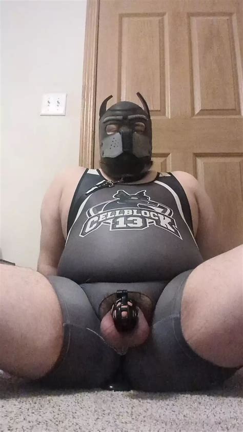 Chastity Chub Pup Plays With Dildo XHamster