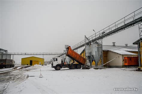 Репортаж с современной фабрики по производству куриных яиц