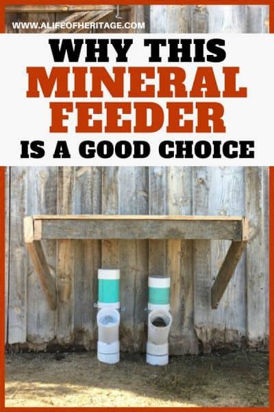 Easy DIY Goat Mineral Feeder For Healthy Goats!