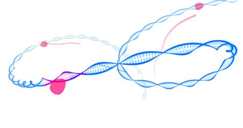 Exome Sequencing | Whole Exome Sequencing Cost | SNP Genotyping | Next ...