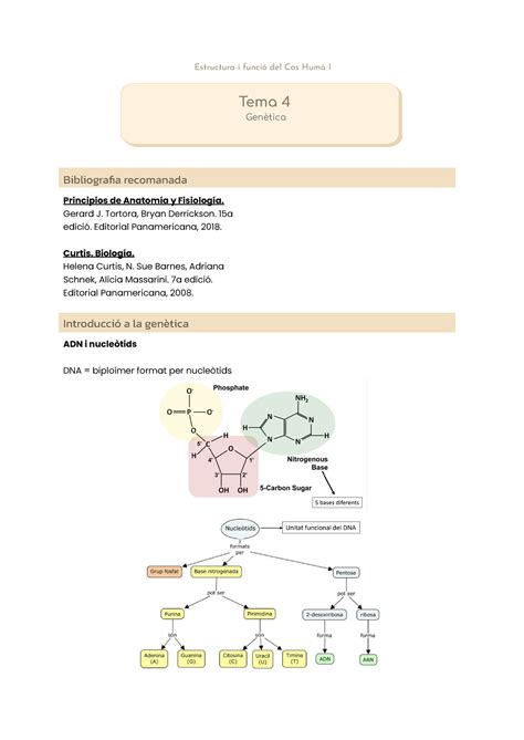 Tema 4 genètica resum Estructura i funció del Cos Humà I Tema 4