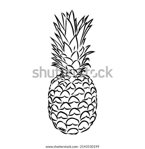 Image Pineapple Fruit Vector Black White Stock Vector Royalty Free 2143530199 Shutterstock