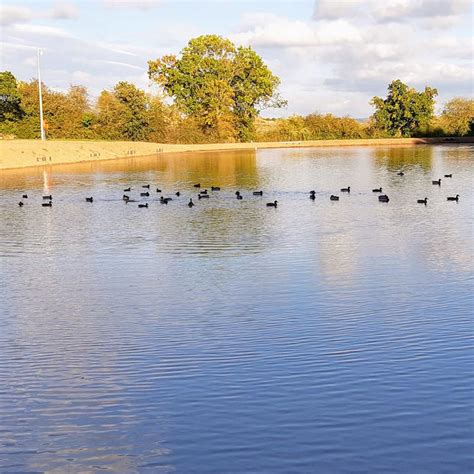 Clays Touring Park Fishing Pond 1 Clays Touring Park