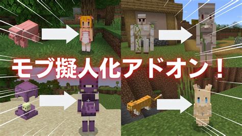 【minecraft】全モブが擬人化して超可愛くなる！擬人化アドオン！ Youtube