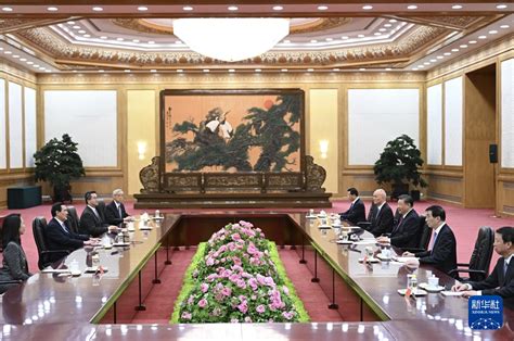 习近平会见马英九一行 中国日报网