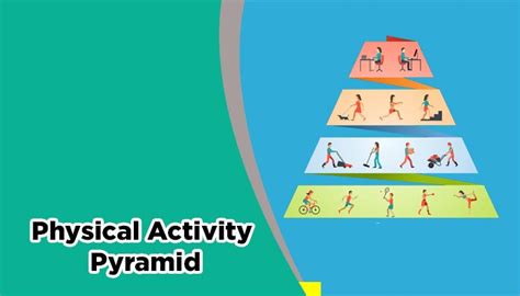 Physical Activity Pyramid Guide - Top Fitness Guides