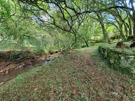 Lote Terreno M Em Barragem Do Salto Em S O Francisco De Paula