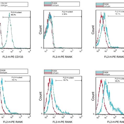 Expression Analysis Of Surface Markers Cd133 And Rank Using Flow