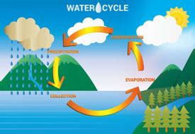 WATER CYCLE TEACHING RESOURCES KS1-2 SCIENCE OCEANS DISPLAY processes ...