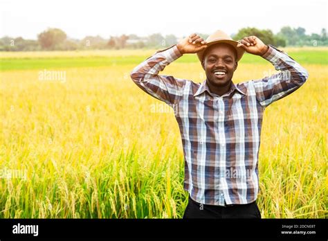 African Farmer Standing In Organic Rice Field With Smile And Happy