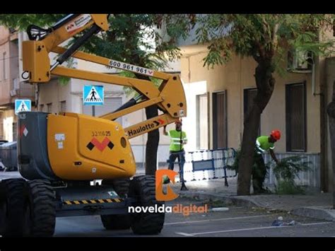 Medio Ambiente Comienza La Campa A Anual De Poda Youtube