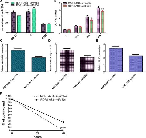 MiR 504 Overexpression Partly Abrogated ROR1 AS1 Induced Effects On