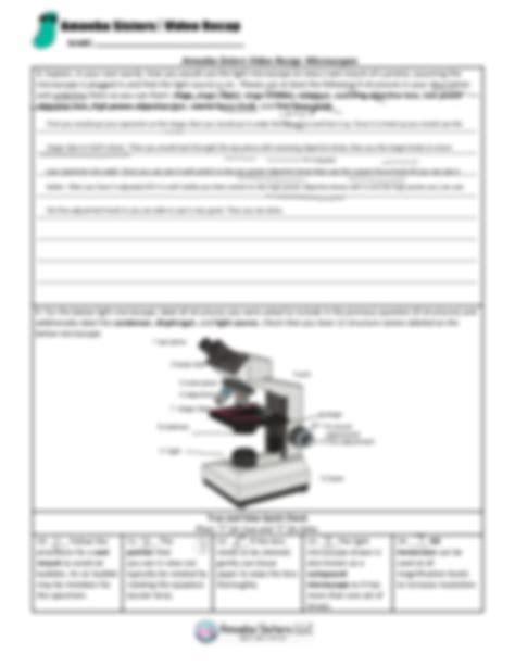 Amoeba Sisters Microscopes Worksheet