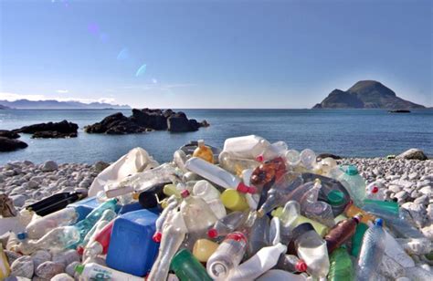 Addio Bottigliette Di Plastica Per Andare Al Lavoro Arrivano Le Eco