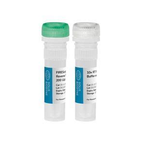 Kit De Reactivos Enzima Soliscript Rt Cdna Synthesis Mix Solis