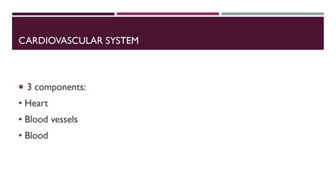 SOLUTION: Anatomy of cardiovascular and respiratory system - Studypool