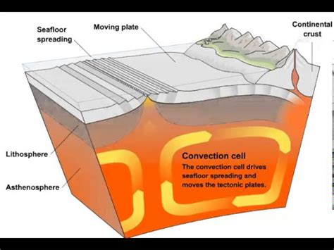 Describe The Role Of Convection Currents In Plate Movement