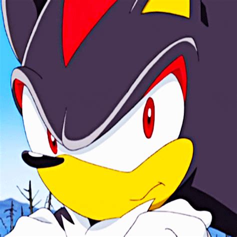 Shadow The Hedgehog 