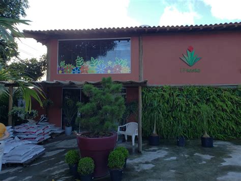 Loja De Plantas Vriesia - 150 avaliações sobre Loja de Plantas Vriesia (Floricultura) em Salvador ...