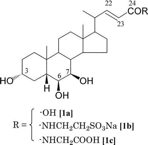 Chemical Synthesis Of E Trihydroxy Chol En Oic