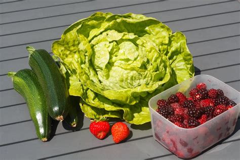 Fruits And Vegetables After Harvesting In A Vegetable Garden Stock