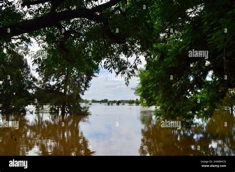 A view of the Hawkesbury River in flood at Windsor in western Sydney ...