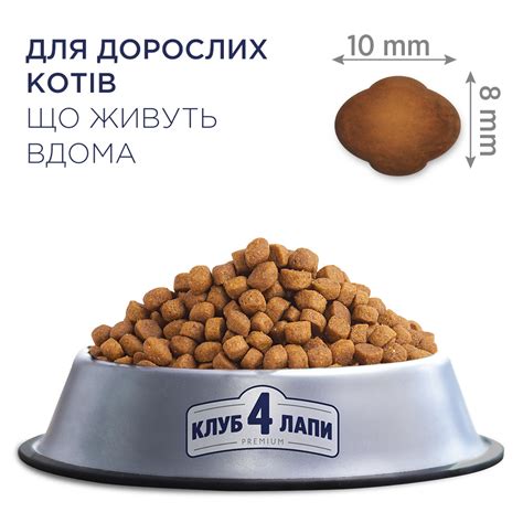 Купить Club 4 Paws Premium Клуб 4 лапы Indoor 4 in 1 сухой корм для ...