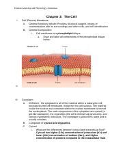 Bio Hyb Chapter Outline Notes Amerman Doc Human Anatomy And