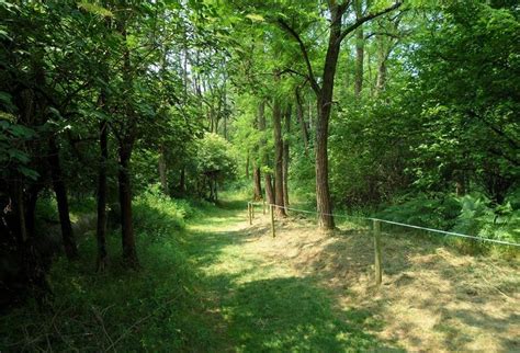 Riserva Naturale Bosco WWF Di Vanzago Riserva Naturale Area Protetta