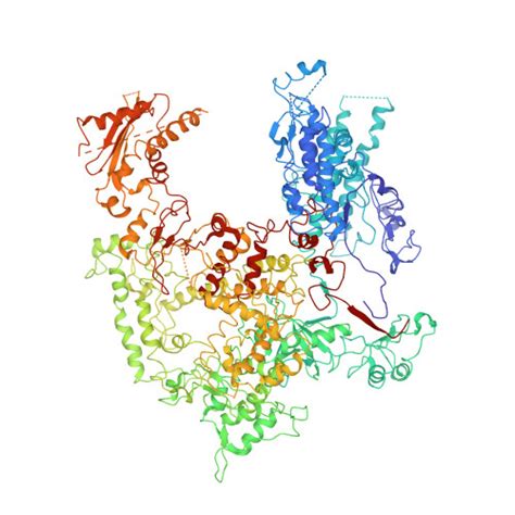 Rcsb Pdb Rqt Rna Polymerase I Twh Rrn Dna