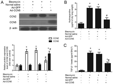 CCN5 Overexpression Inhibits Profibrotic Phenotypes Via The PI3K Akt