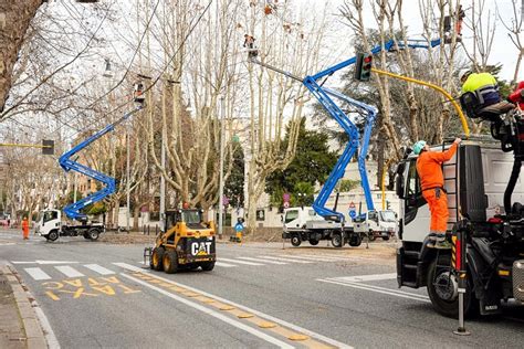 Roma Potature Degli Alberi In Via Nomentana Al Via Lavori Sull Ultimo