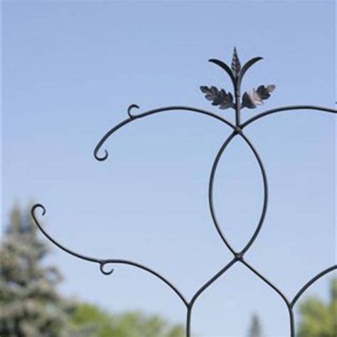 Achla Designs Tendrils Ii Ft Iron Arch Trellis Home Outdoor