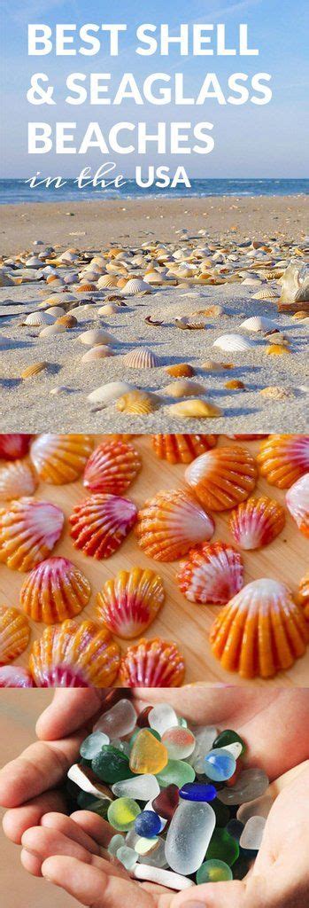 Top Beaches For Shells And Seaglass In The Usa Shell Beach And Road Trips