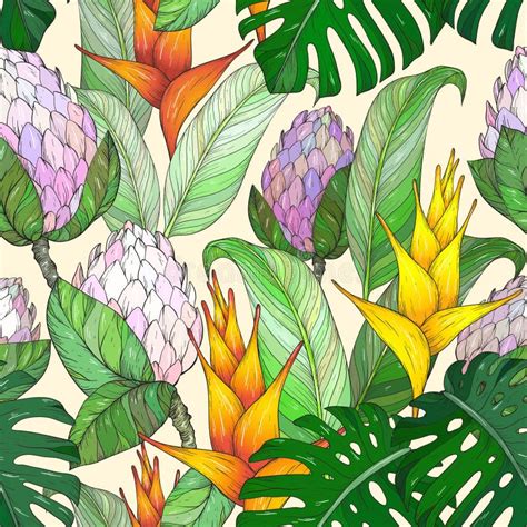 Tropical Flowers Sketch Style Stock Vector Illustration Of Protea