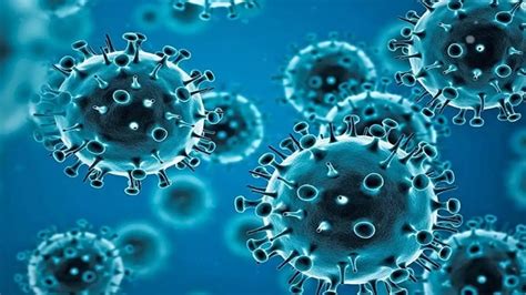 भारत के लिए नया नहीं Hmpv वायरस 2 दशक पहले भी सामने आए थे मामले Hmpv Virus First Case Found