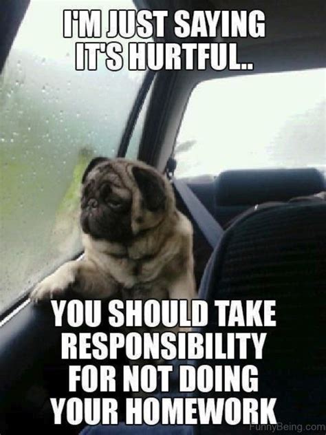 85 Mad Pug Memes