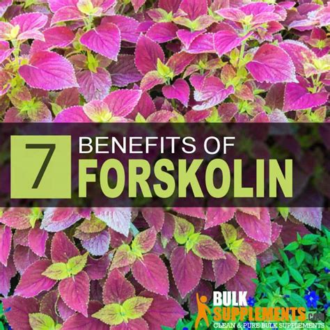 7 Good Reasons to Try Forskolin