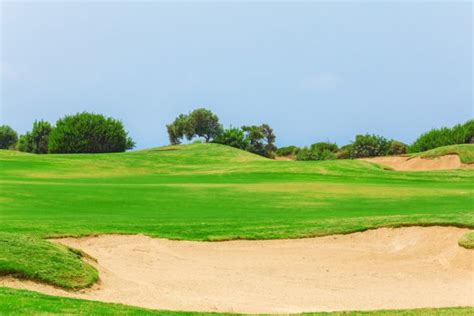 Panorama Of Golf Field Sea And Olives Stock Photo Rostislavv 13462537