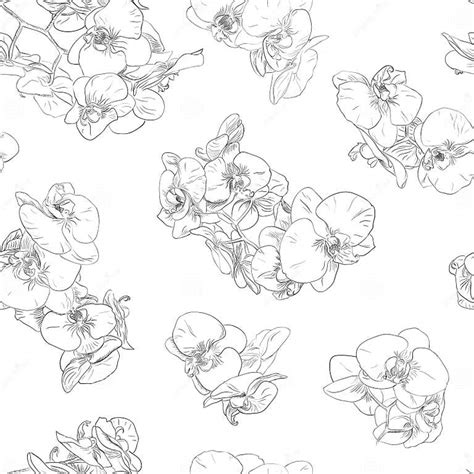 Flowers Seamless Pattern Background Line Illustration Orchids Floral