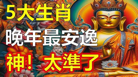 生肖運勢，十二生肖晚年最幸福安逸的五大生肖：生命富足健康長壽的屬龍、屬馬、屬蛇、屬雞、屬豬，五大生肖運用天干地支與易經卦象深度分析，揭示五大