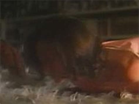 Jean Simmons Nude Pics Videos Sex Tape