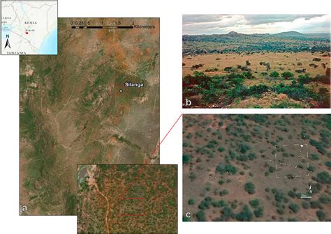 Silanga: a) the location of Silanga in relation to Lukenya Hill with an ...
