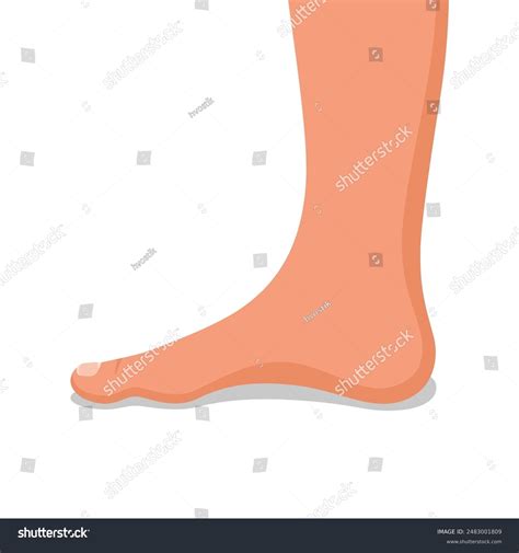 Ossa Nude Over 541 Royalty Free Licensable Stock Illustrations Drawings Shutterstock