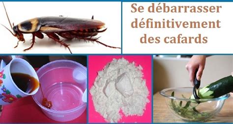 Comment Se Debarrasser Definitivement Dun Durillon Automasites