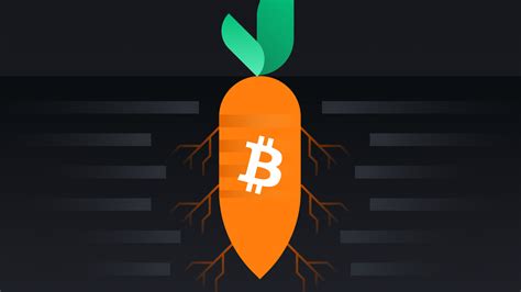 What Is Taproot And How Does It Benefit Bitcoin Binance Academy On