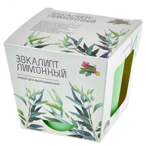 Набор для выращивания растений Магия цветов Эвкалипт лимонный mf-007 ...