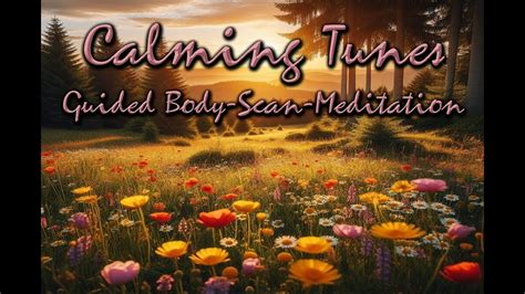 Calming Tunes 20 Minute Guided Body Scan Meditation Mindfulness