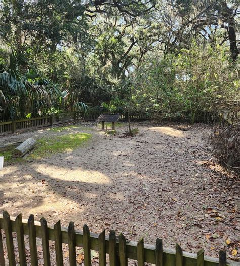 Tree Hill Nature Center - Gopher Tortoise yard - ZooChat