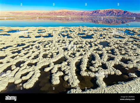 Dead Sea. Evaporated salt Stock Photo - Alamy